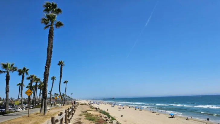 12 Scenic Day Trips in South Carolina That Work Well for Families