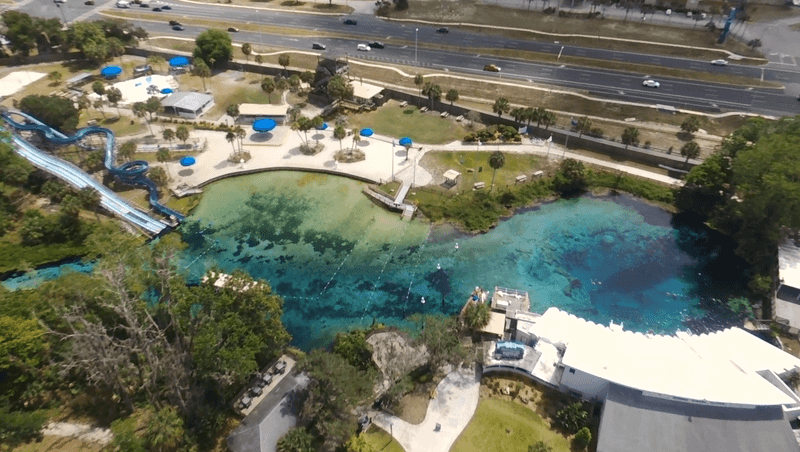 Weeki Wachee Springs &mdash; live mermaids and a springside theater