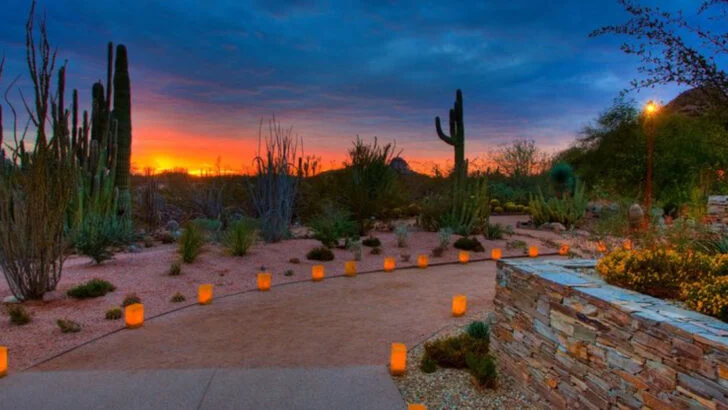 14 Easy Day Trips in Arizona That Still Feel Worth the Drive