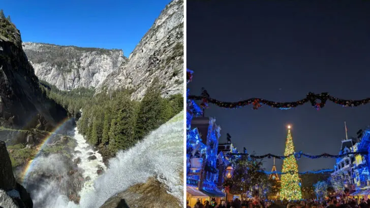 14 experiences in California you still have time to fit in during 2025