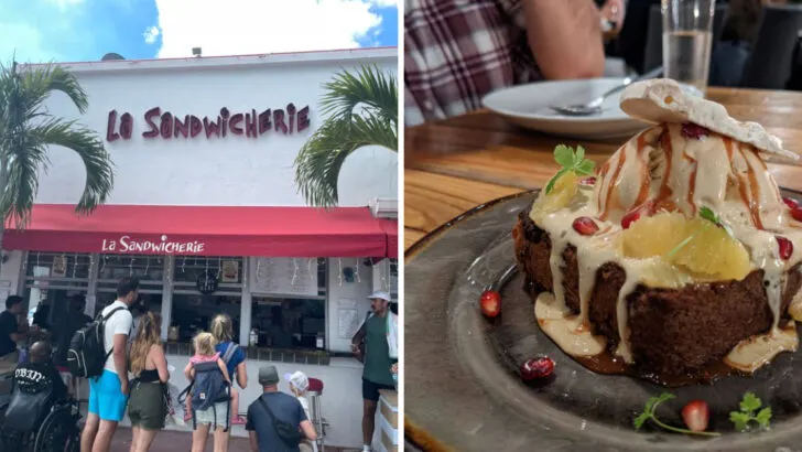 15 Foodie Spots to Try in Miami During Its Peak Travel Months