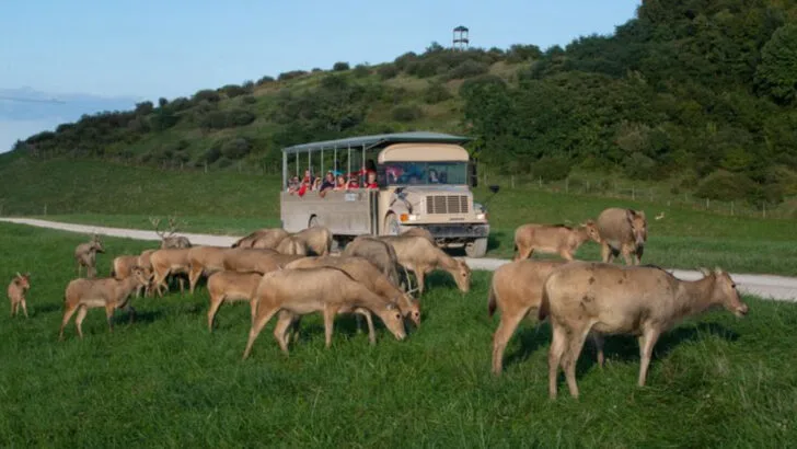 15 Relaxed Day Trips in Ohio That Don&rsquo;t Feel Rushed