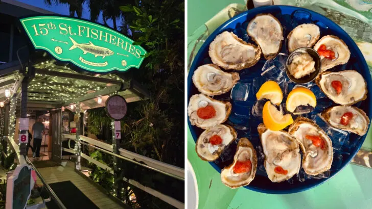 15 Underrated Seafood Restaurants in Florida Locals Actually Eat At