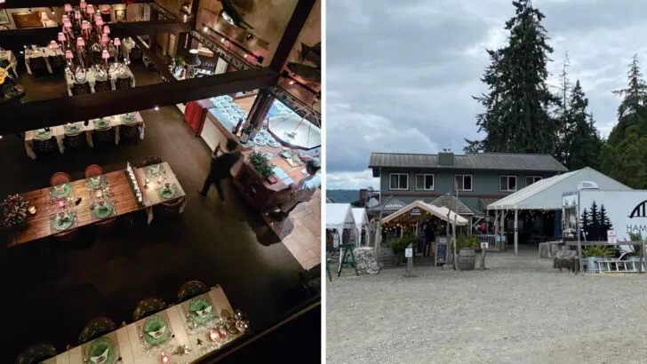 16 Washington restaurants recognized statewide for winter dishes worth planning around