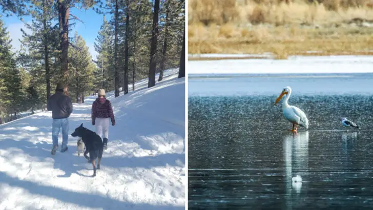 16 winter day trips in California that beat the summer crowds