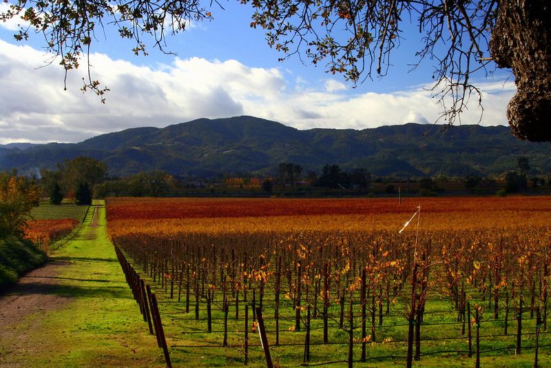 Napa County, California