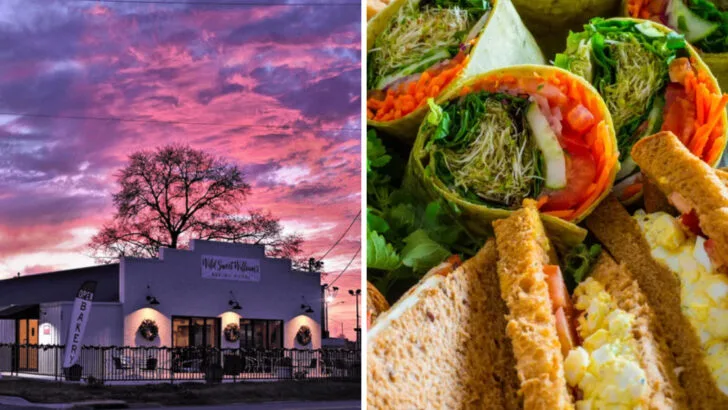 8 Arkansas Small-Town Diners Serving Pimento Cheese Sandwiches with More Character Than Expected