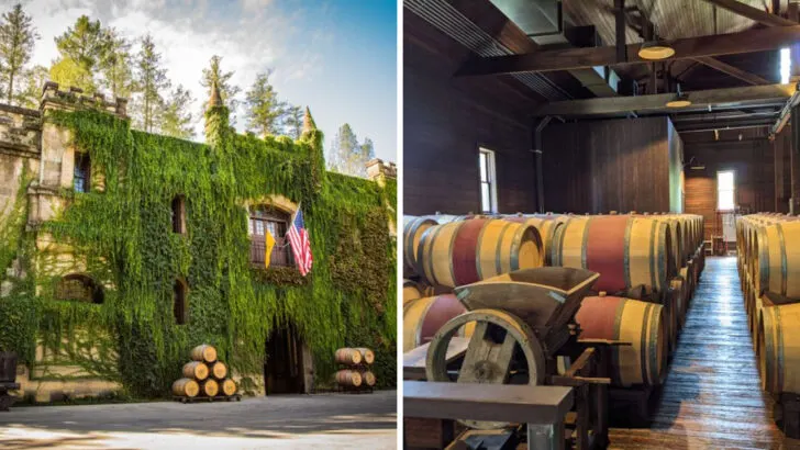 9 Napa Valley Wineries Worth Visiting on Your Next Trip
