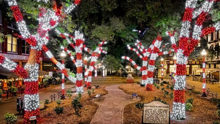 9 Tennessee Christmas markets where food is the main reason to linger