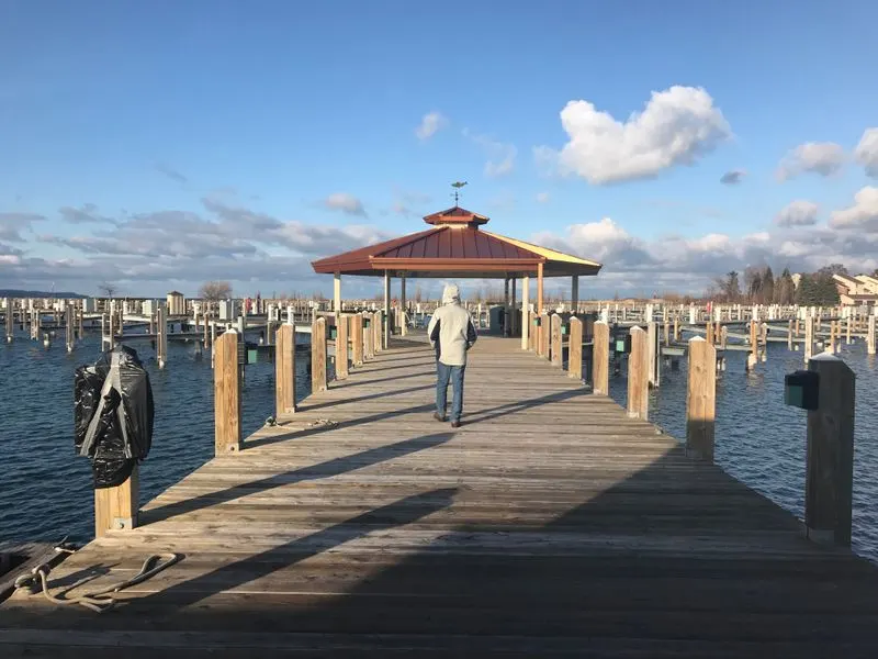 The Harbor as a Winter Landscape