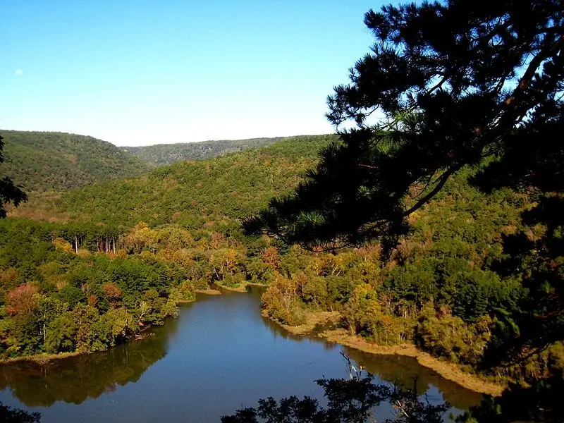 The Ozark Landscape: What Makes Saint Robert Unique