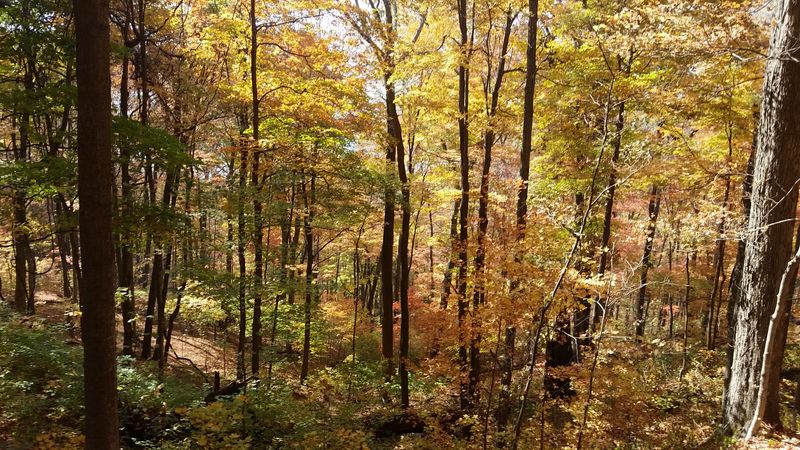 Seasons That Transform The Park