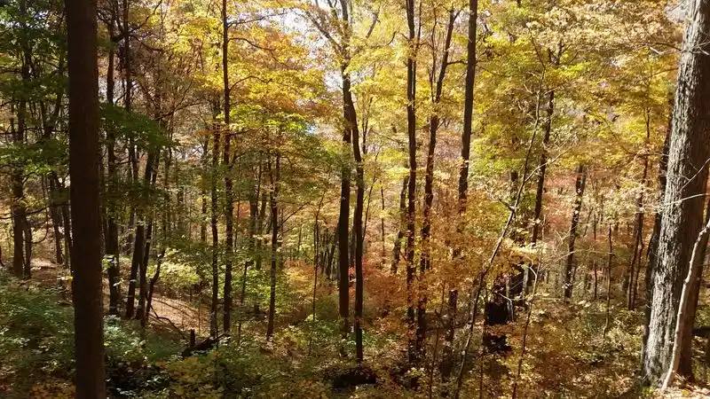 Seasons That Transform The Park