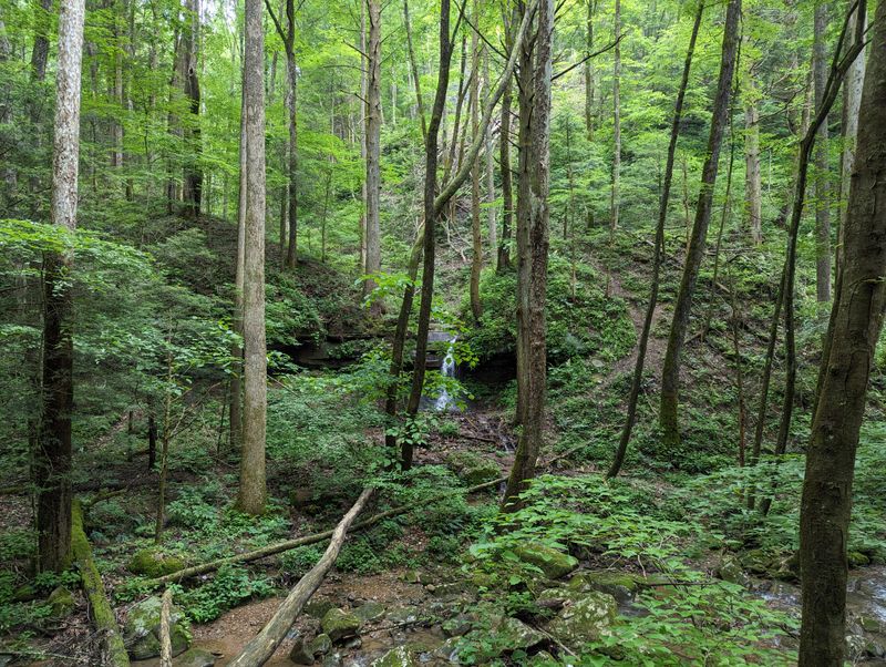 Trails Built for Solitude, Not Crowds