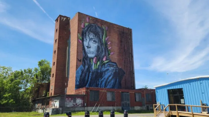 A Lively Virginia Town in the Blue Ridge Mountains Known for Its World-Famous Street Art and Easy Valley Charm