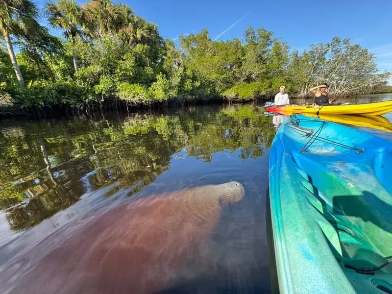 Year-Round Perfect Weather for Outdoor Activities