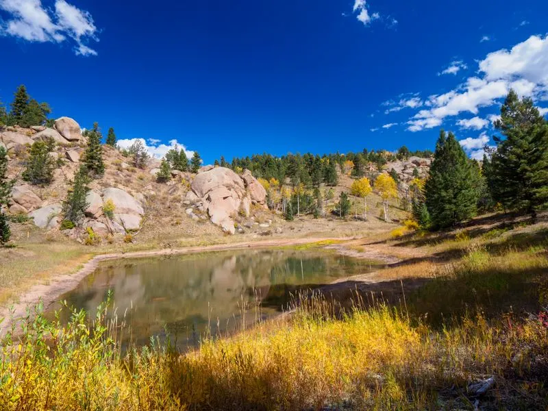 Why Mueller State Park Remains One of Colorado&rsquo;s Best Kept Secrets