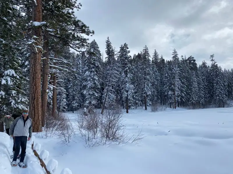Strolling the Snowy Paths of Ponderosa State Park