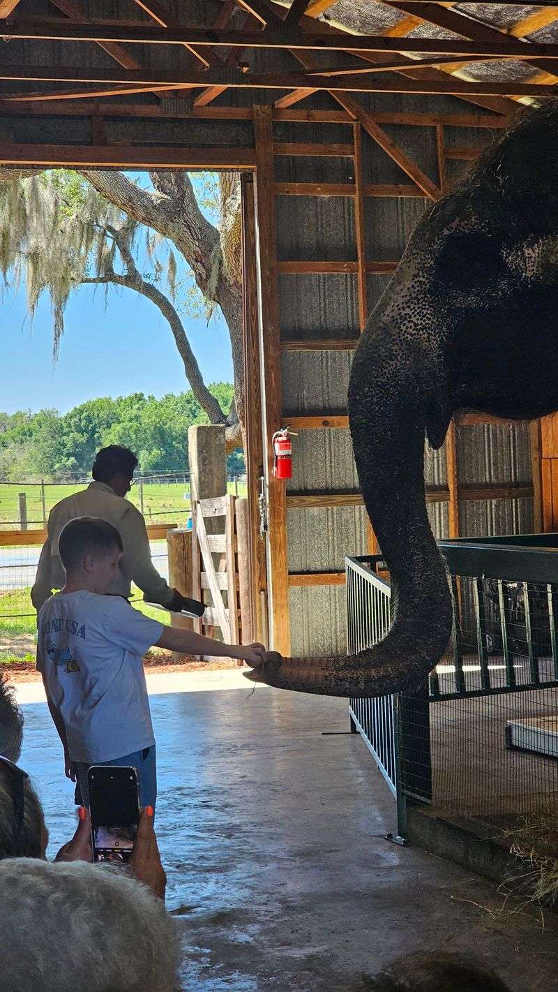 Ethical Encounter Etiquette: Do And Do Not