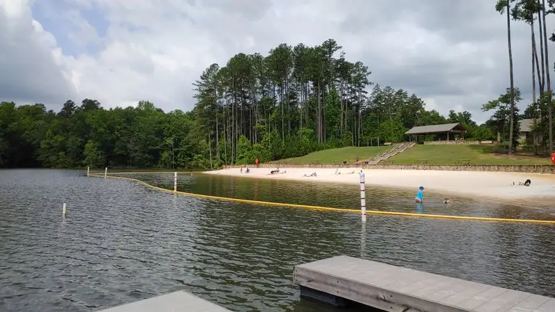 Seasonal Highlights Around the Lake