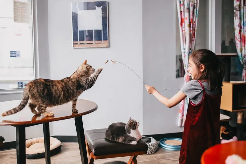 Tips for Families and First Timers