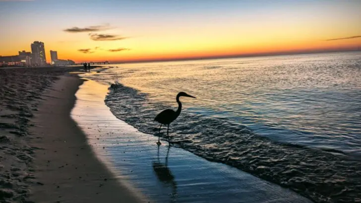 After visiting a dozen beach towns along the Gulf Coast, these 12 are the ones I want to return to in 2026