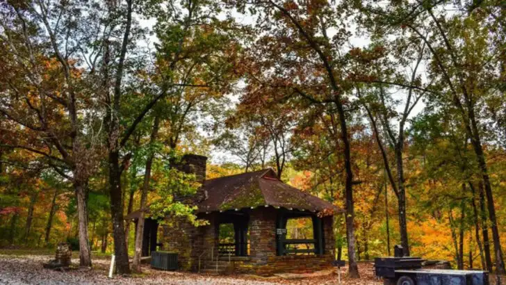 Alabama’s Low-Profile State Parks That Visitors Highlight as Great Winter Picks