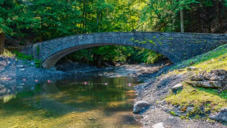 An Underrated New York State Park Where Peaceful Paths Lead to Memorable Views