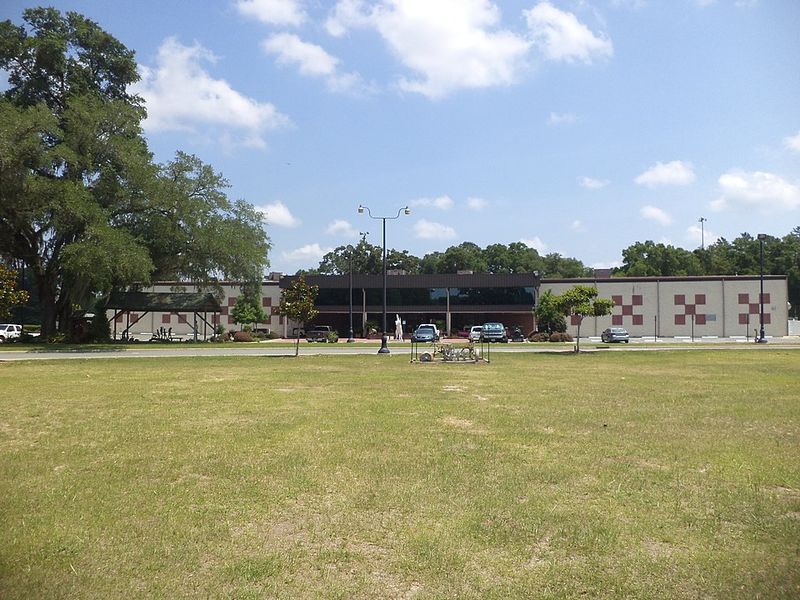 The Museum Overview