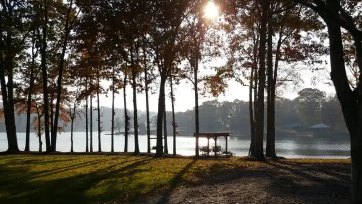 An up-and-coming city in North Carolina entering 2026 with growing appeal