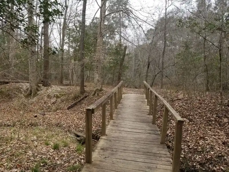 Trails for every pace