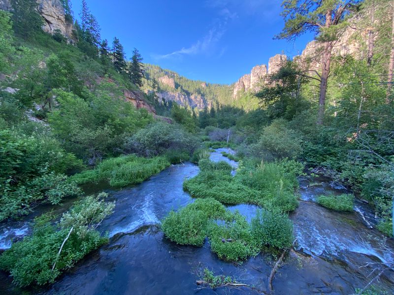 Spearfish Canyon