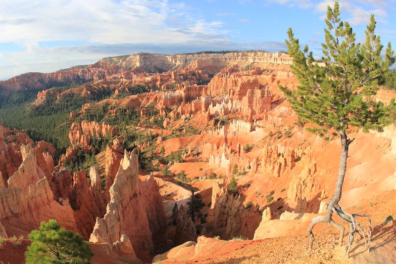 Bryce Canyon National Park
