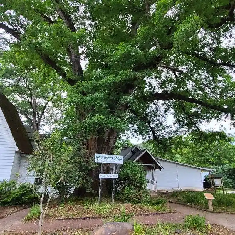 Railroads Powering Local Industry