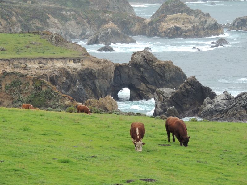 California &ndash; Big Sur Coastline