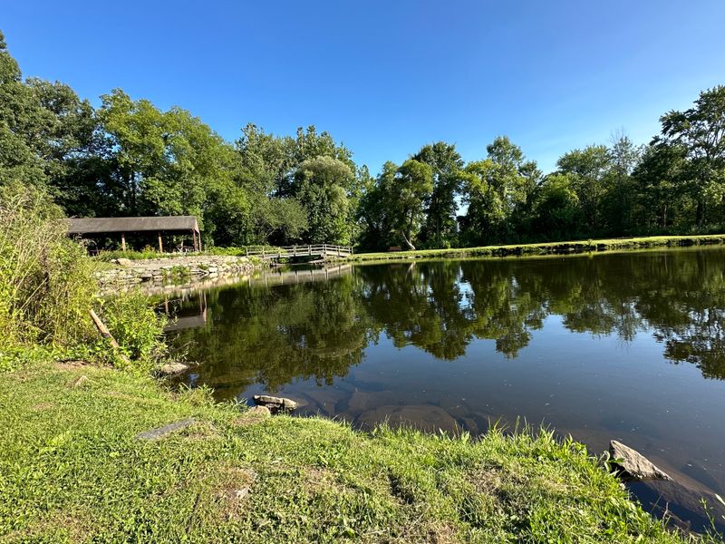 Outdoor Spaces and Small Town Nature