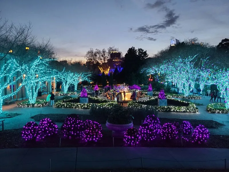 Atlanta Botanical Garden&rsquo;s Garden Lights, Holiday Nights