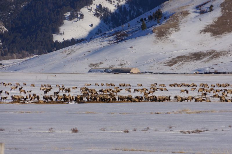 Grand Teton National Park, Wyoming