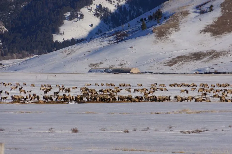 Grand Teton National Park, Wyoming