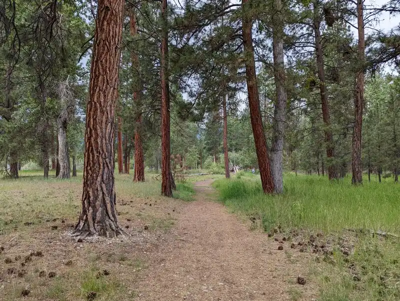 Bitterroot Valley Backroad Tour