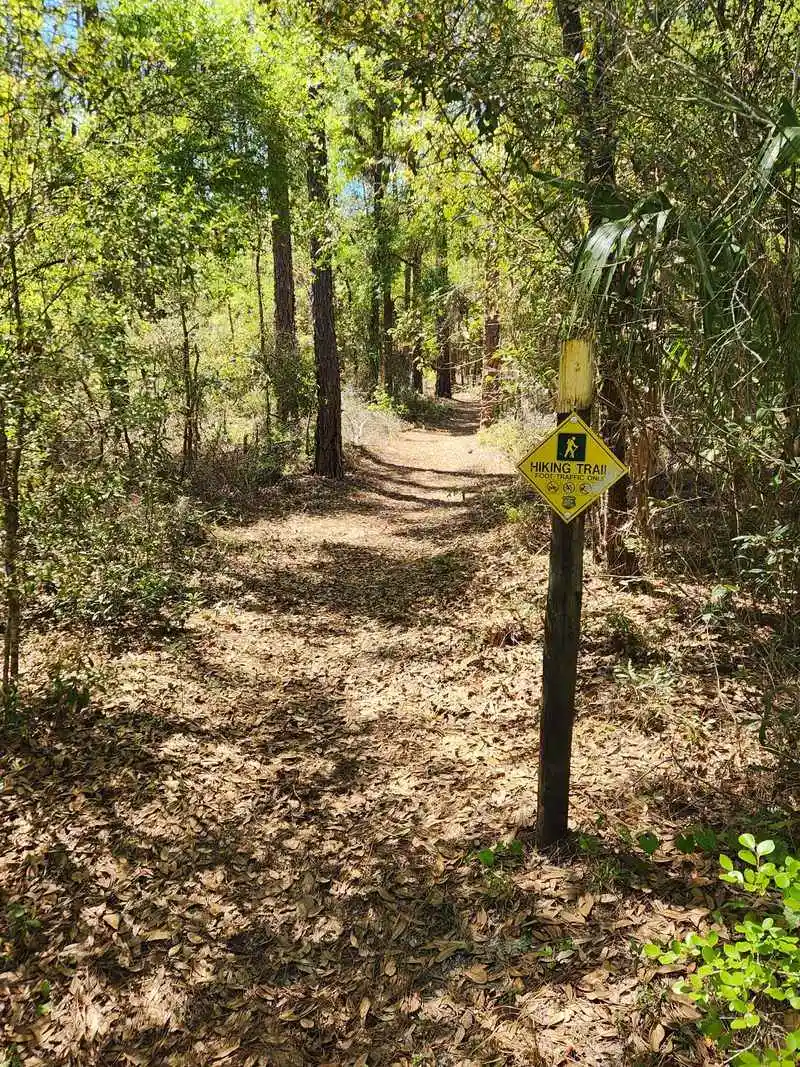 Safety, Leave No Trace, and Accessibility