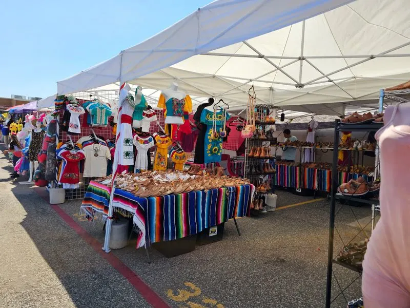 What You Will Find: Categories and Hidden Gems