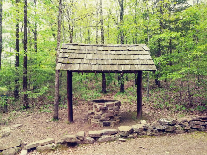 Who Woolly Hollow Is Perfect For