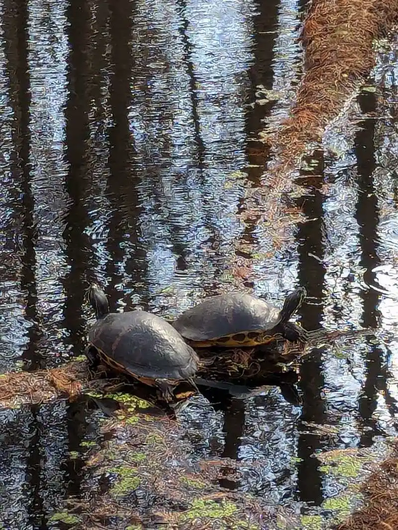 Family Planning and Accessibility