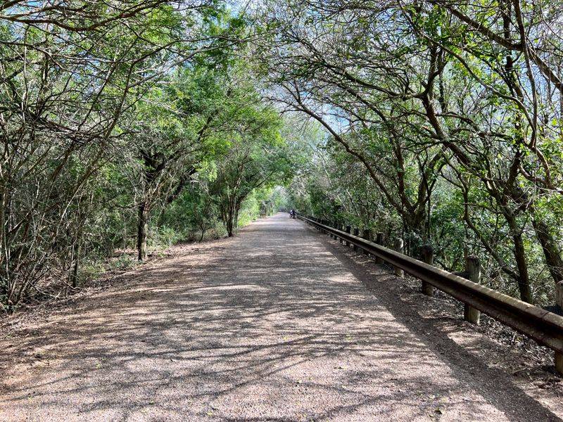Resaca de la Palma State Park