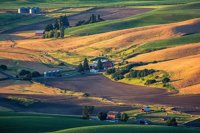 The Palouse
