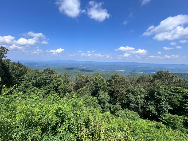 Horsebone Hollow — Morgan County (Cacapon Mountain area)