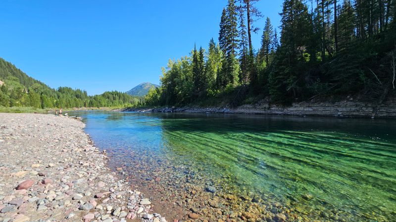 Flathead National Forest