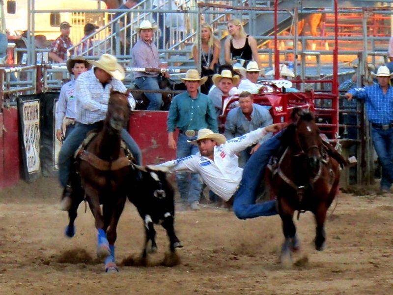 Sheridan WYO Rodeo