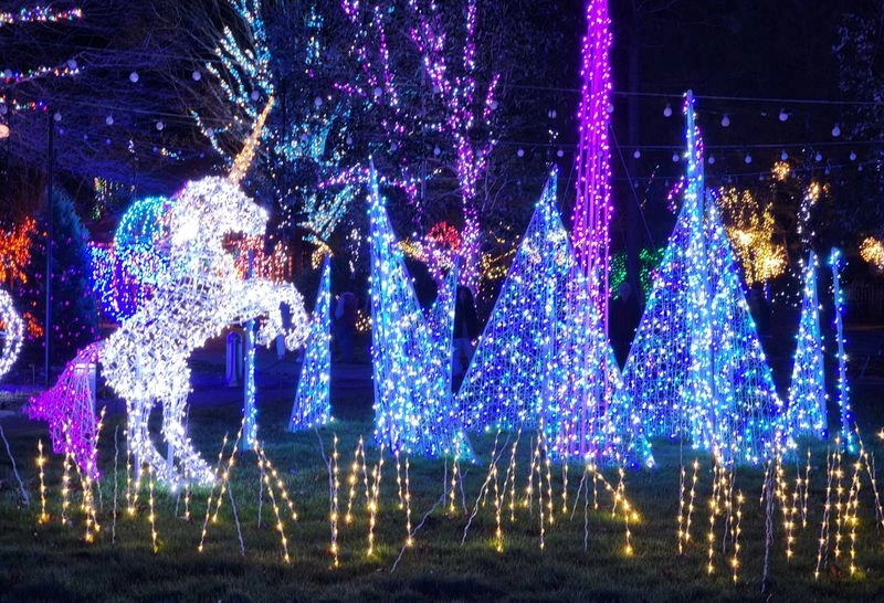 Winter Lights at the North Carolina Arboretum